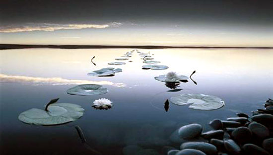 关于做人做事的哲理小故事四则