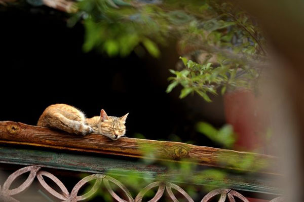 善良的人运气都不会太差