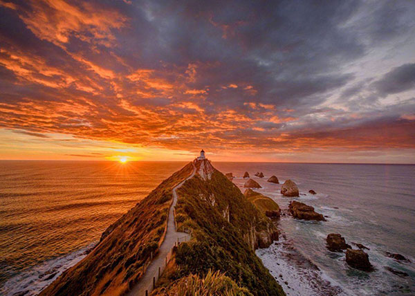 成功和付出是成正比的-励志故事