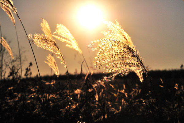 一个人的高贵跟穿不穿名牌没关系
