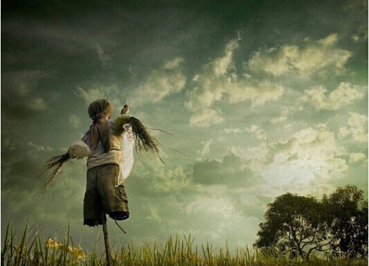 学会放下不必要的面子