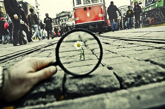 不要消极地等待机会降临而是要努力去争取