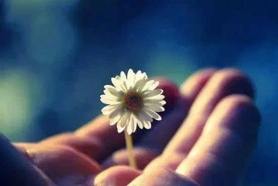 心存善念,善有善报