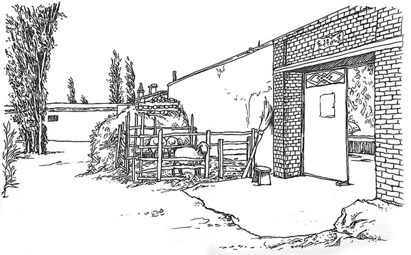 市井故事之每个男人都有点私房钱