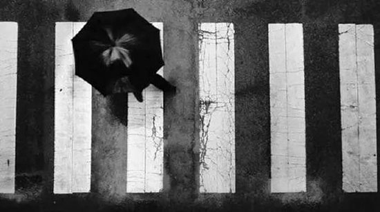 只有规则和制度才能让人性的阴暗无处发挥