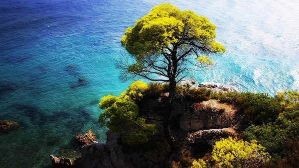 做人就要不愧对良心不违背道义