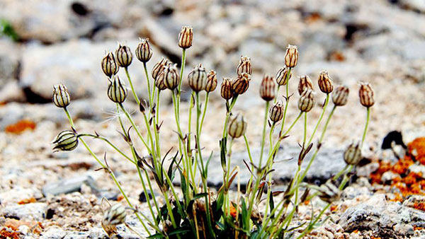 人活着的意义到底是什么-励志故事