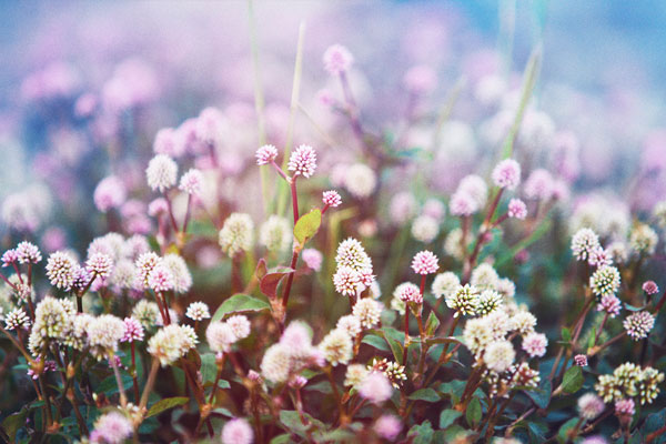 尊敬别人才能赢得别人的尊敬