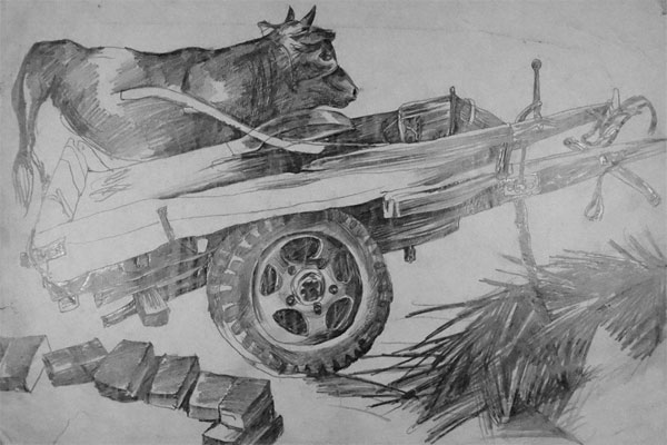 善待动物系列故事之人丑心善的兽医