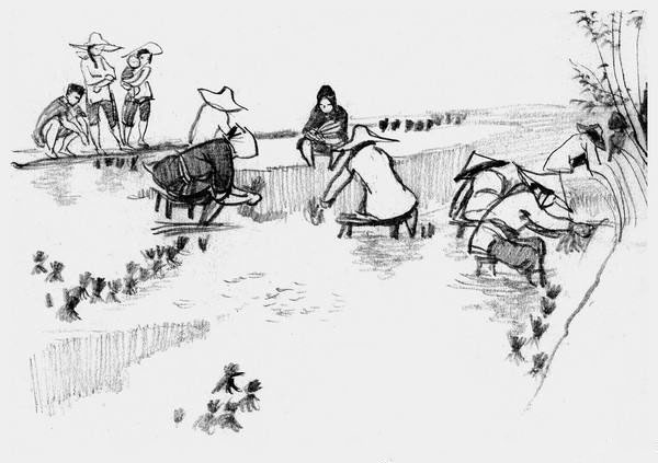 不吃肉的媳妇-民间故事