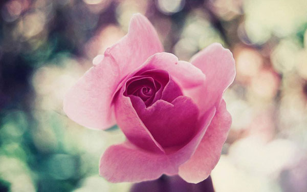 适当装傻才是真聪明