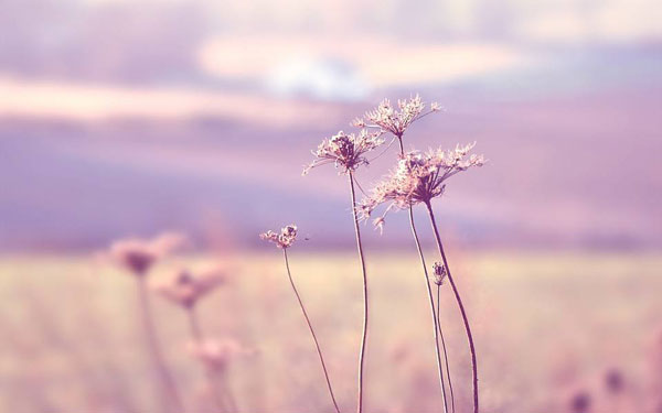 给别人留余地,也是给自己留后路