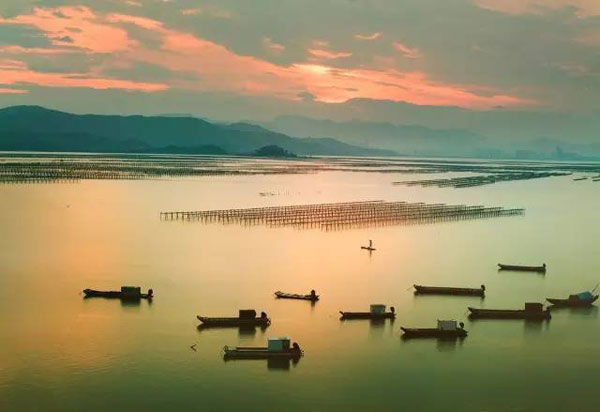 转换思路学会变通