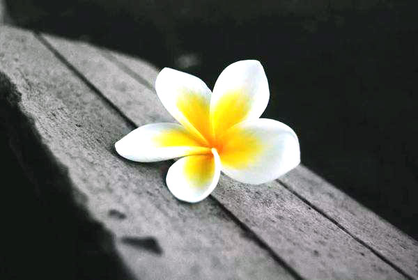 善良是有回报的