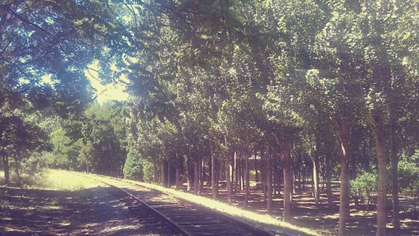 学会释怀,潇洒放手