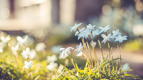 食物会过期,幸福也会过期