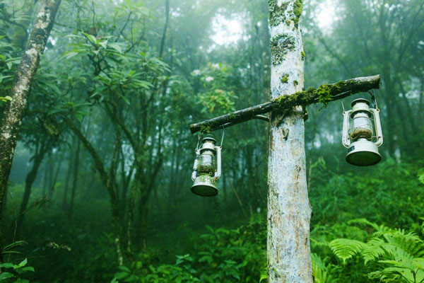 山上惹回来的脏东西