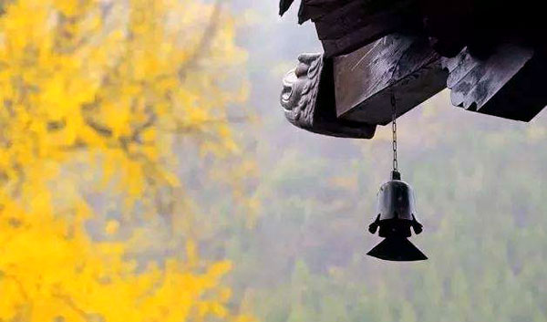 百般算计不如一颗单纯的心