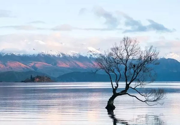 讲真话做好人才对得起自己的良心