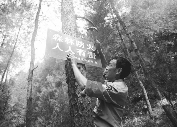 倔强的护林员-民间故事