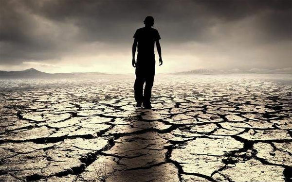 因为怀疑而致命的故事