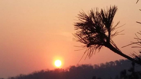 欲望没有尽头就永远不会快乐