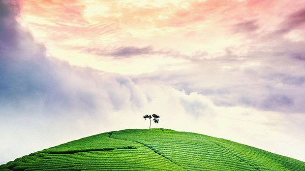 找到问题的根源,才能彻底解决问题-哲理故事