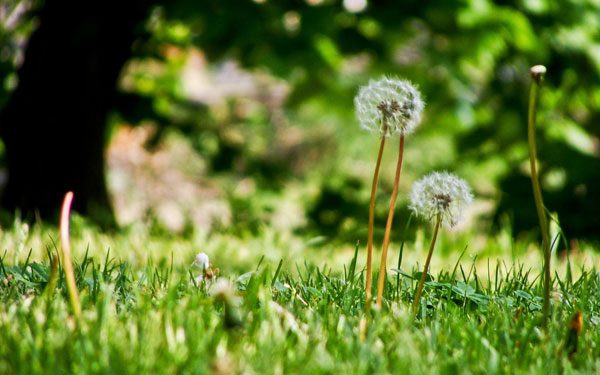 遇到事情要静得下心沉得住气