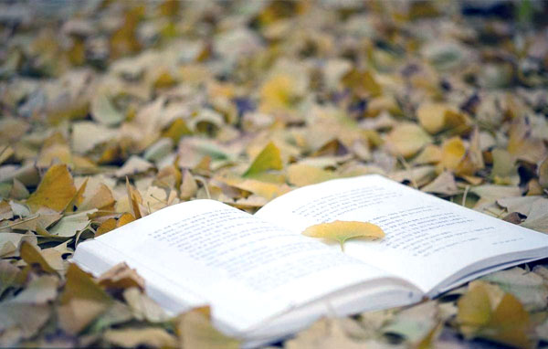 不努力偏又愤世嫉俗的畸形的心态