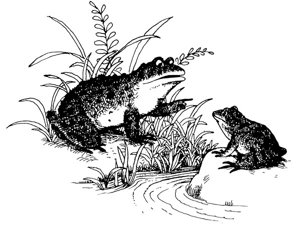 凡事不能只看表面