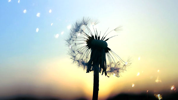 每个人都是潜力股,不要沉沦在失败的边缘