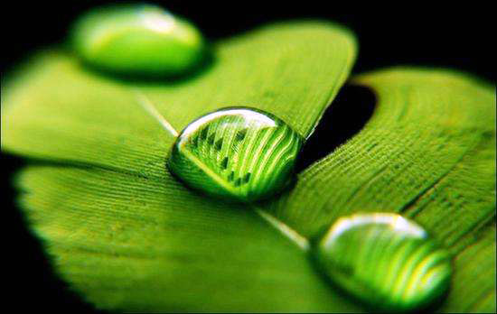 关于学会珍惜的故事,且行且珍惜的小故事