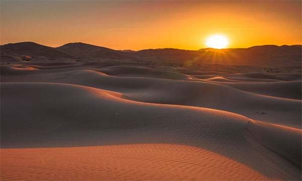 和黄沙较劲的女人-励志故事