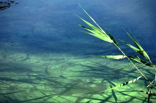 把工作当成修行，既能成就事又能成就人