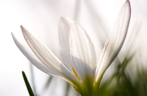 不要小看了细节的重要性