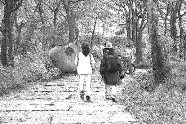 我和母亲的轮回配图