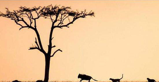 不学习不成长就只能被淘汰出局-励志故事