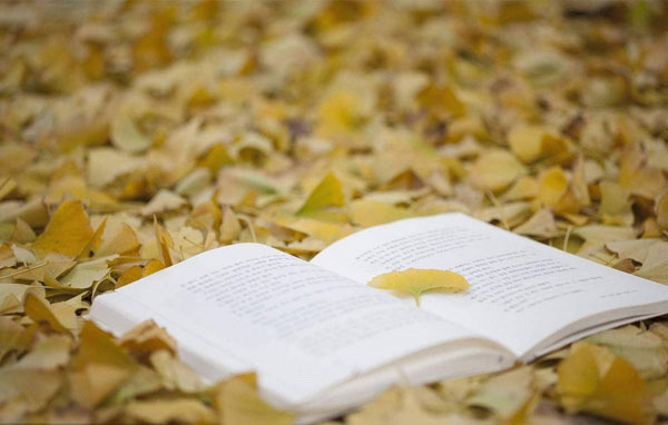 细节不一定决定成败