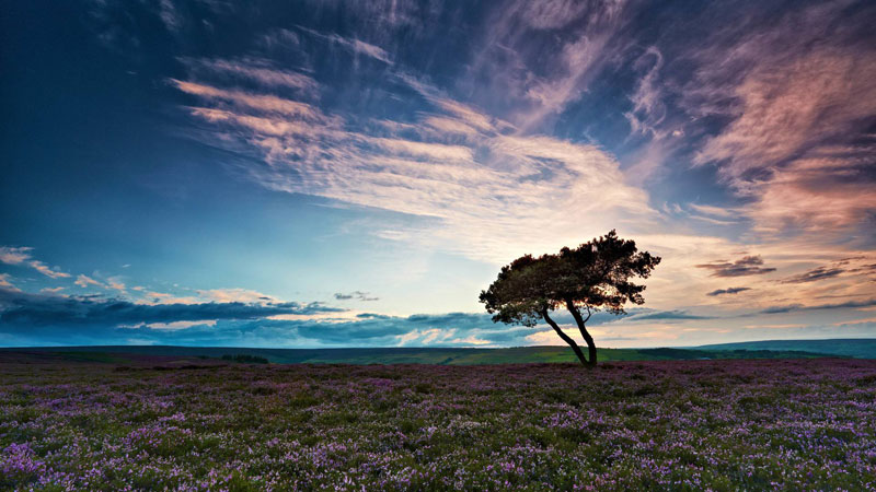 没有人可以逼我们放弃梦想，除了我们自己