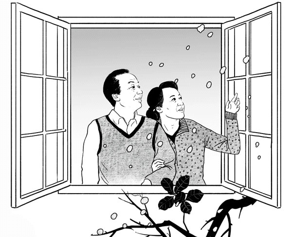 看到雪后又是一年