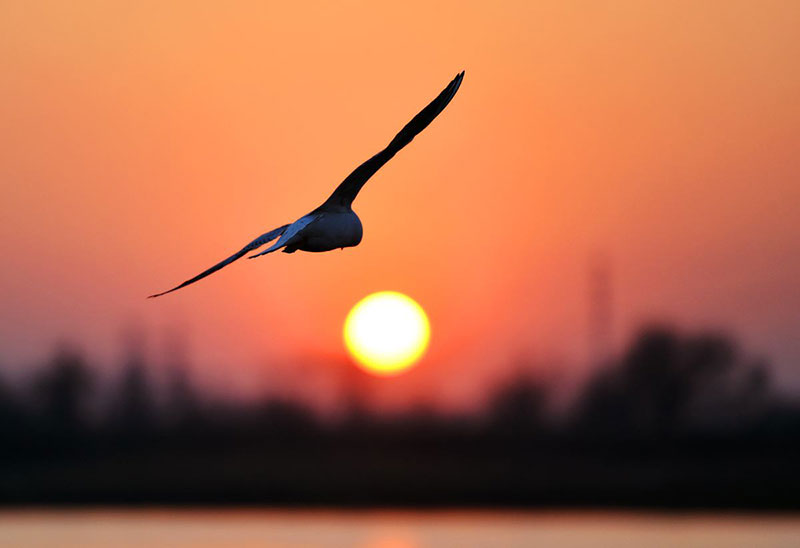 放宽心坚持下去，也许转角就是光明-励志故事