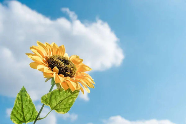 存在是因为创造价值，淘汰是因为价值丧失