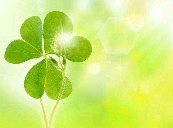 眼前的苟且和委屈就是通向诗和远方的大道