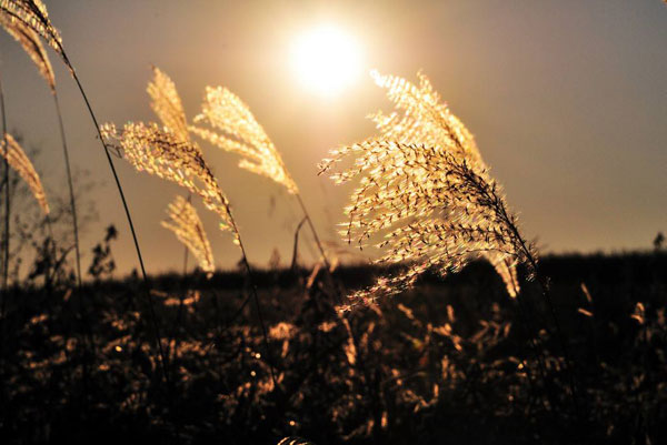 人和人相处是一门大学问