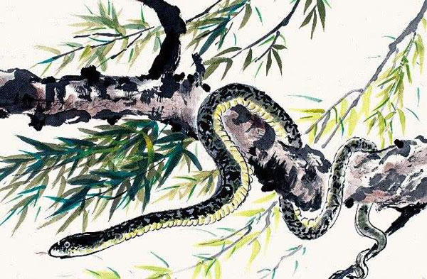 中国民间供养招财蛇的传说